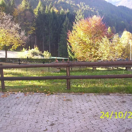 Torena